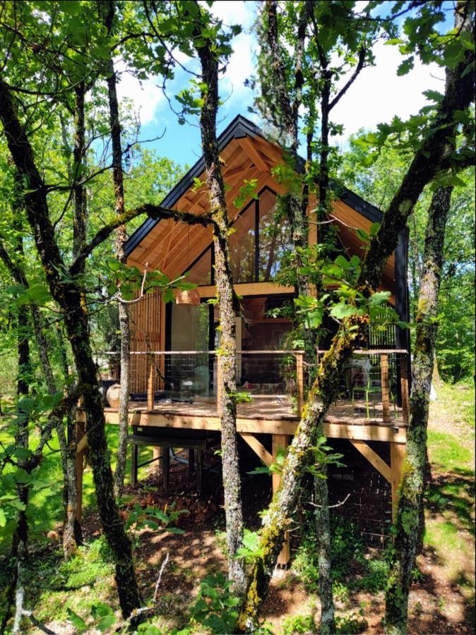 Wabi Sabi Lodge - Spa&Sauna Privatif - Foret Turenne Exteriér fotografie
